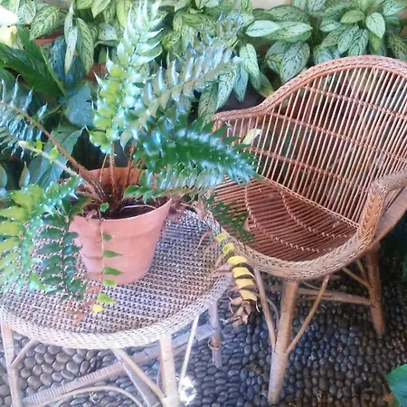 2 Bedrooms House With Sea View And Enclosed Garden At Holiday home