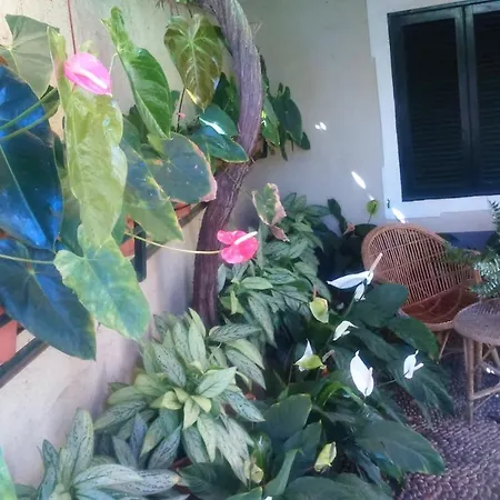 2 Bedrooms House With Sea View And Enclosed Garden At Holiday home Gaula
